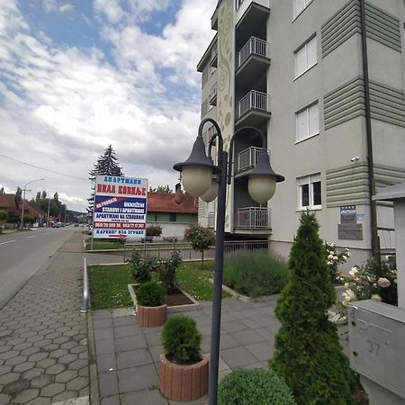 Apartmani - Vila Kovilje Banja Koviljača 外观 照片