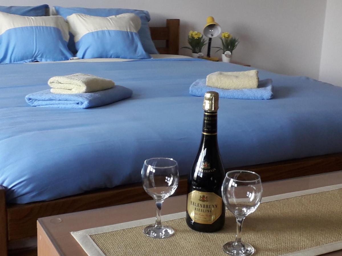 Apartmani - Vila Kovilje Banja Koviljača 外观 照片