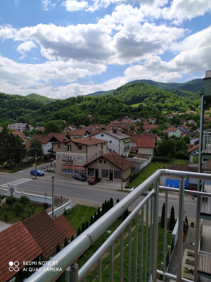 Apartmani - Vila Kovilje Banja Koviljača 外观 照片