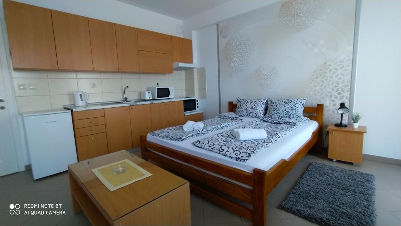 Apartmani - Vila Kovilje Banja Koviljača 外观 照片