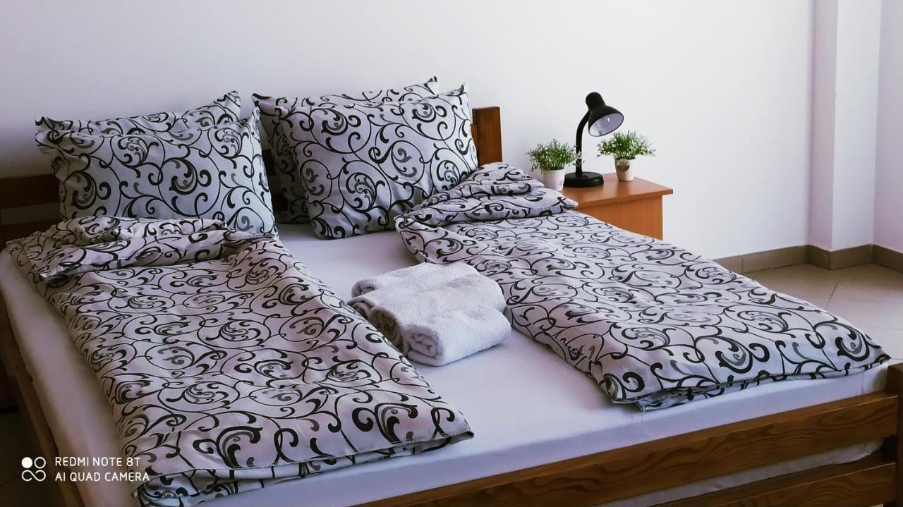 Apartmani - Vila Kovilje Banja Koviljača 外观 照片