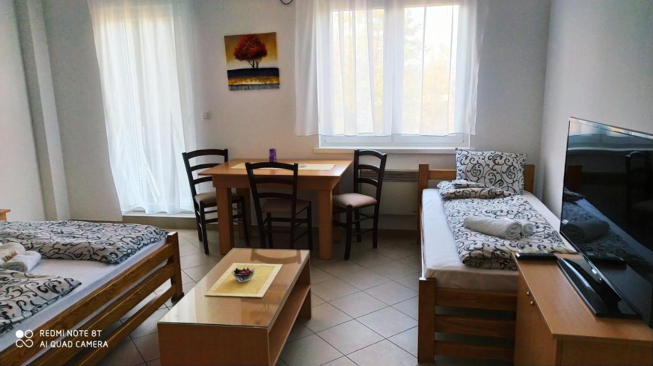 Apartmani - Vila Kovilje Banja Koviljača 外观 照片
