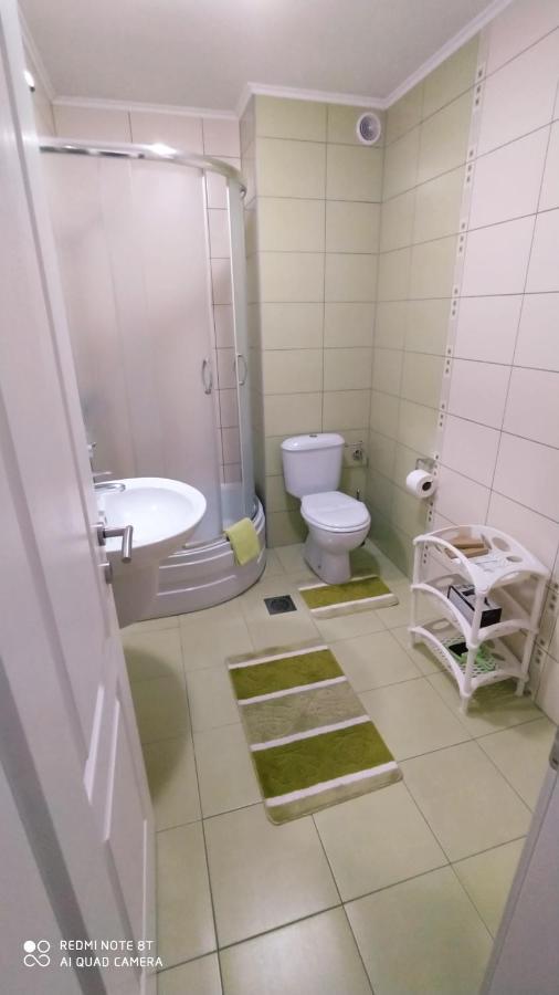 Apartmani - Vila Kovilje Banja Koviljača 外观 照片