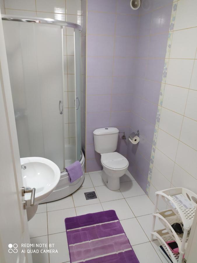 Apartmani - Vila Kovilje Banja Koviljača 外观 照片