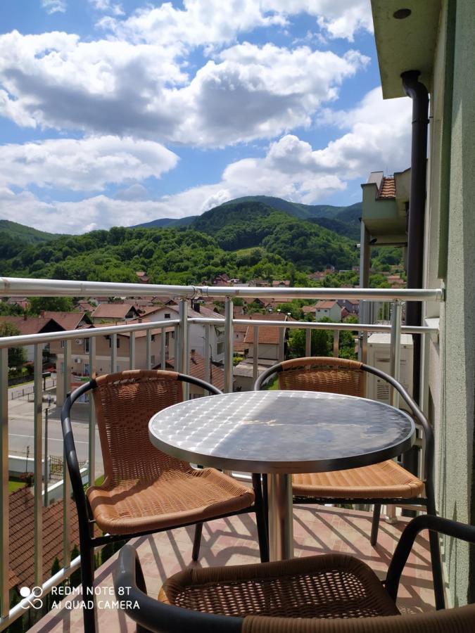 Apartmani - Vila Kovilje Banja Koviljača 外观 照片