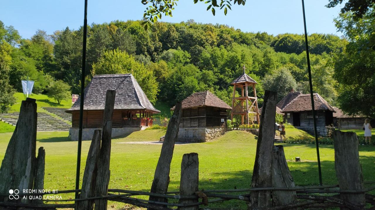 Apartmani - Vila Kovilje Banja Koviljača 外观 照片