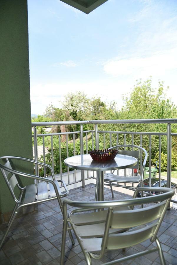 Apartmani - Vila Kovilje Banja Koviljača 外观 照片