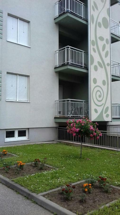 Apartmani - Vila Kovilje Banja Koviljača 外观 照片