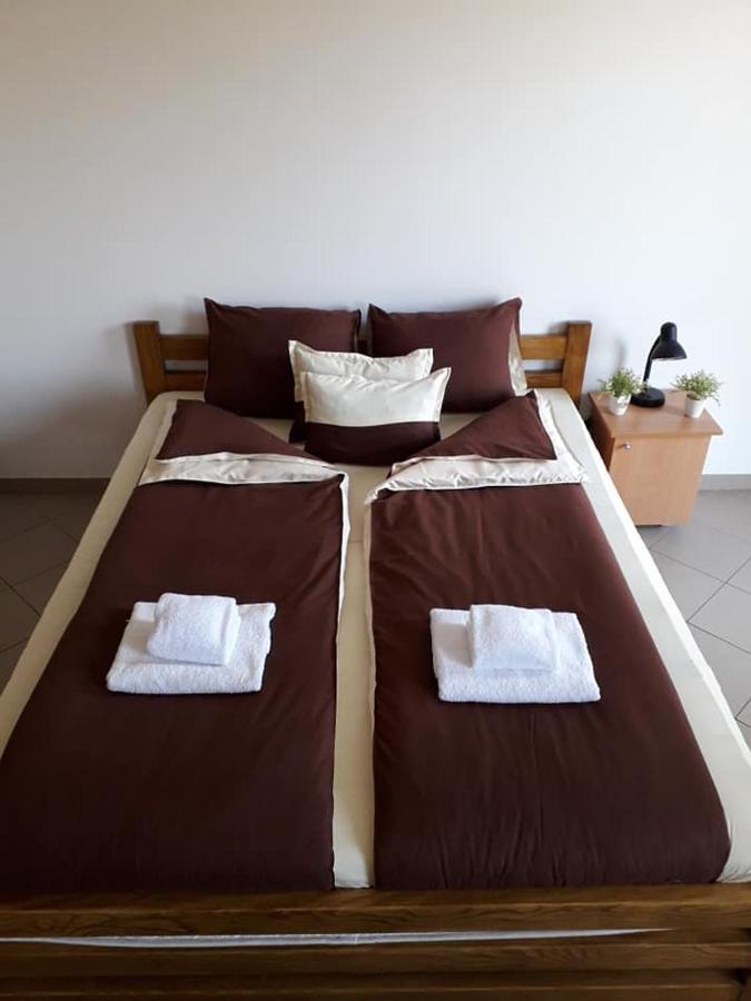 Apartmani - Vila Kovilje Banja Koviljača 外观 照片